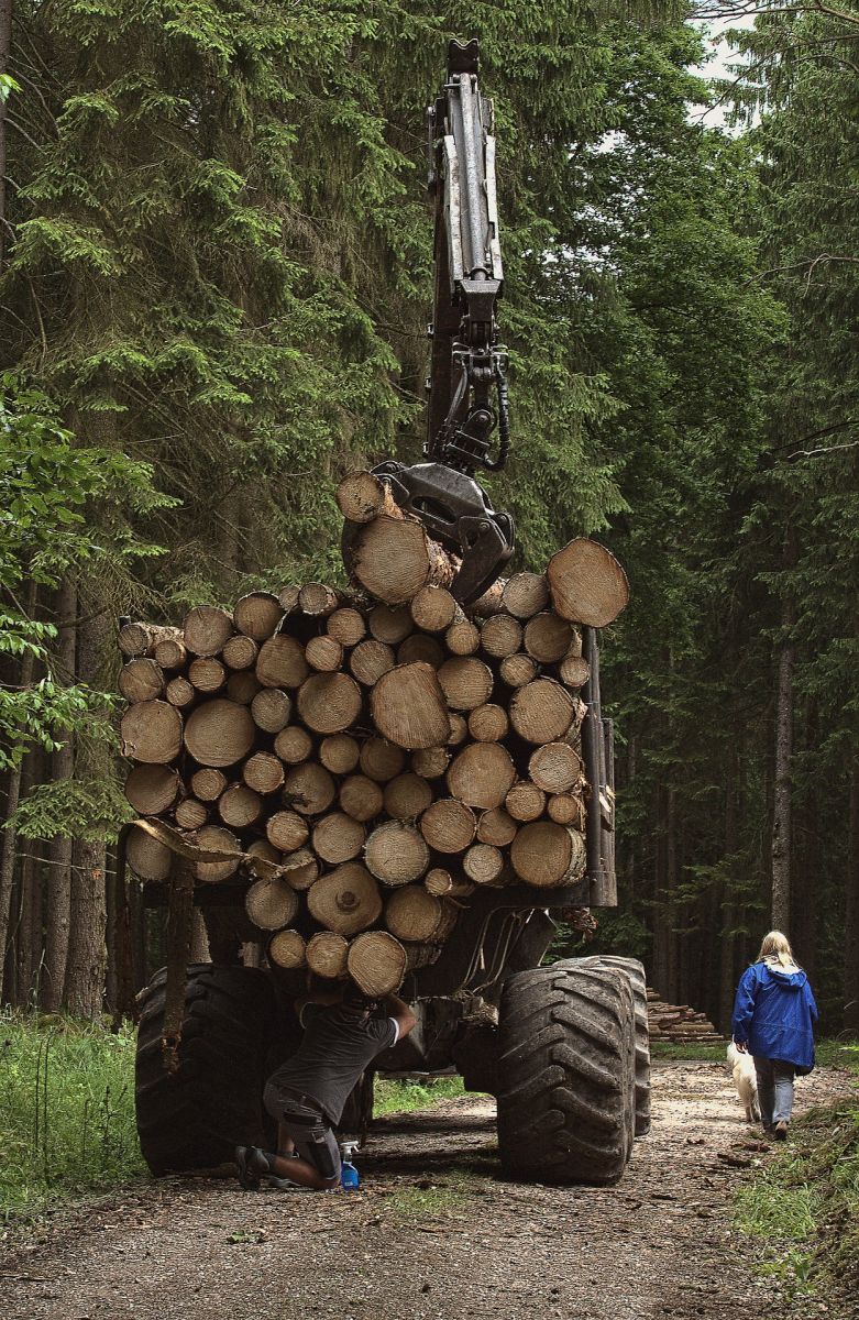 Forwarder günstig mieten